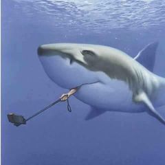 Profile Picture of Robert Zelko (@robertzelko) on Tiktok