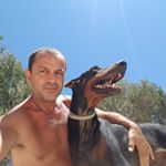 Takis Shelter - Instagram Profile Picture of Takis Shelter (@takisshelter) on Instagram