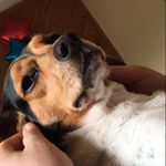 Profile Picture of Raymond (@raymond_mcgrath) on Instagram