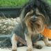 Profile Picture of Jerry H Moller (@jerry.moller.982) on Facebook