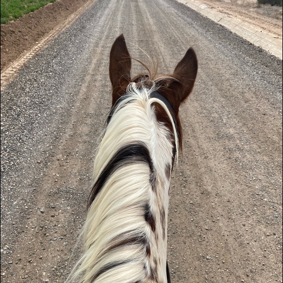 Profile Picture of Divinity Preston (@divinitypreston) on Poshmark