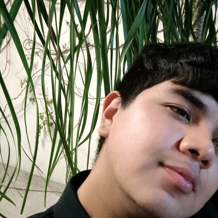 Profile Picture of Fer (@briansuki) on Tiktok