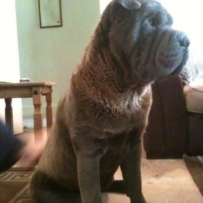 Profile Picture of Jason Luxton (@jasonluxton1) on Twitter