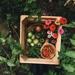 Profile Picture of Kurtis Frahm (@Kurtis-Frahm) on Facebook