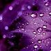 Profile Picture of Twyla Cozart Bennett (@cozartbennett) on Pinterest