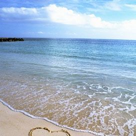 Profile Picture of Lillie Vaughn (@momalillie) on Pinterest