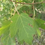 Matthew Comer - Facebook Profile Picture of Matthew Comer (@matthew.comer.892495) on Facebook