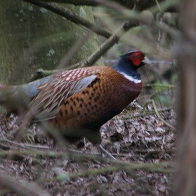 John Holliman - Twitter Profile Picture of John Holliman (@holliman_john) on Twitter