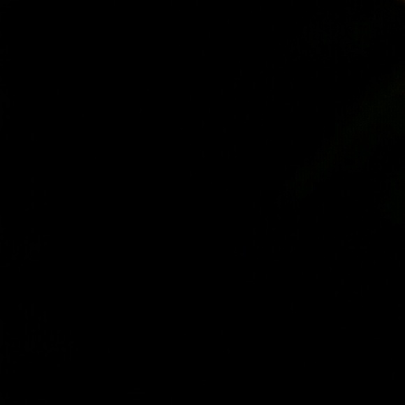 Profile Picture of Abbey Murawski (@abbeymurawski) on Poshmark