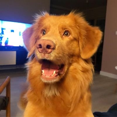 Profile Picture of Burt Jarvis (@realburtjarvis) on Twitter