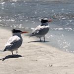 Profile Picture of James Winans (@wind_jam) on Instagram