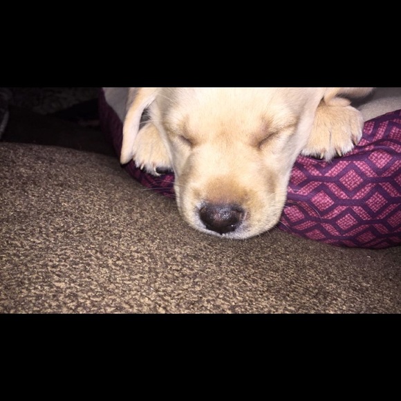 Profile Picture of Savannah Settle (@savannahsettle) on Poshmark