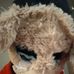 Profile Picture of Caleb Vanderpool (@caleb.vanderpool.7) on Facebook