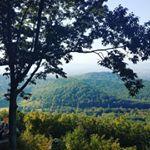 Profile Picture of Robbie Faust (@robertfaust28) on Instagram