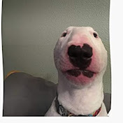 Profile Picture of Robert Correa (@robertcorrea55) on Youtube