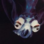 Profile Picture of David Cotten (@doudouapdouapdouap) on Instagram