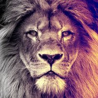 Profile Picture of Shannell Thomas (@shannell-thomas-5) on Quora