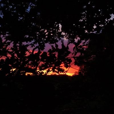 Profile Picture of Ryan Hick (@RyanHi16) on Twitter