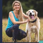 Shelly Haines, VSA-CDT - Instagram Profile Picture of Shelly Haines, VSA-CDT (@fetchworthydogtraining) on Instagram