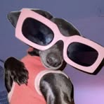 Profile Picture of Latania Lovelace (@Latania-Lovelace) on Facebook