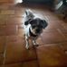 Profile Picture of Deborah Lightfoot (deborah lightfoot) (@deborah.carter.5477) on Facebook
