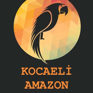 Kocaeli  Amazon Kuşları - Facebook Profile Picture of Kocaeli  Amazon Kuşları (@esref.durmus.5245) on Facebook