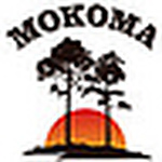 Profile Picture of Mokoma (@mokoma) on Flickr
