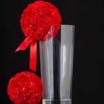 Profile Picture of Red Maple Leaf (@theredmapleleaf) on Instagram