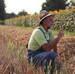 Profile Picture of Andrew Morales (@andrew.morales.5076798) on Facebook