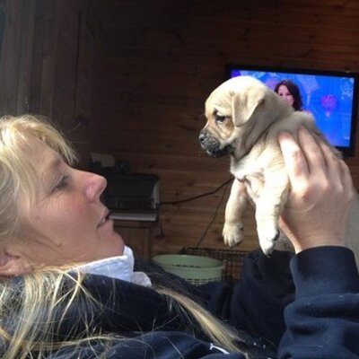 Profile Picture of Mandy Cheshire (@mandy_cheshire) on Twitter