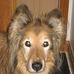 Profile Picture of Robin Moxley (@Robin-Moxley) on Facebook