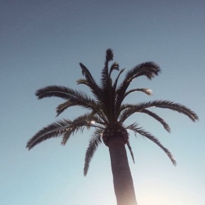 Profile Picture of Audrey Bouchard (@BouchardDuc) on Twitter