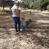 Profile Picture of Anne Smallman (@anne-smallman) on Quora