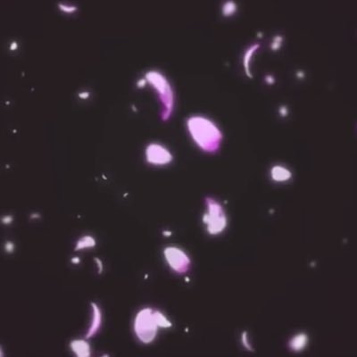 Profile Picture of Tom Wooton (@n_kevin16) on Twitter