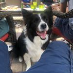 Profile Picture of Thomas Costa (@tcosta1287) on Instagram