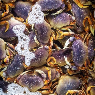 Profile Photo of Linda Brand Crab (@seafoodmomma) on Twitter