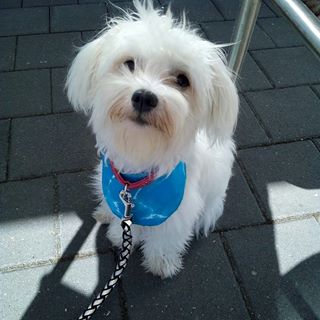 Profile Picture of Lucie Heinrich (@lucie.heinrich.775) on Facebook