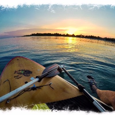 Profile Picture of Randall Wills (@RandallWills9) on Twitter