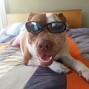 Profile Picture of Adam Margulies (Adampatatam) (@adammargulies6480) on Youtube