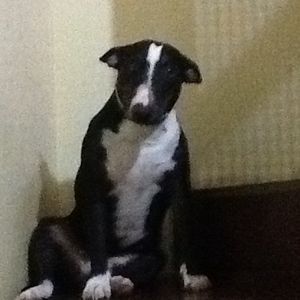 Profile Picture of Pedro Guerra (@dropguerra) on Myspace