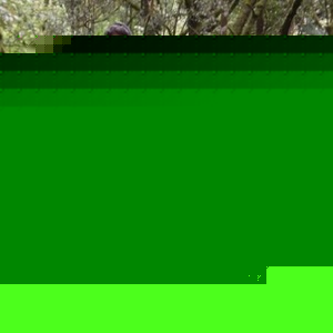 Profile Picture of Sean Prothero (@seanprothero) on Myspace