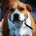 Profile Picture of Tim Hammonds (@tim.hammonds.923) on Facebook