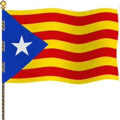 Profile Picture of J.Llorens (@LlorensJoaquim) on Twitter