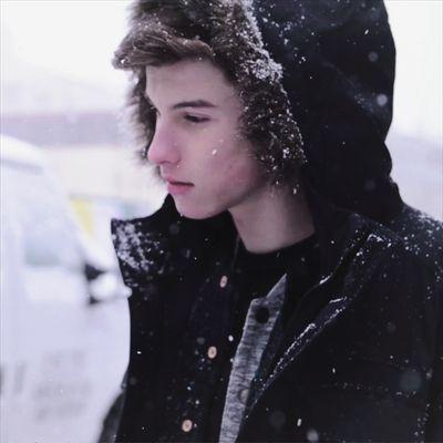 Profile Picture of Shawn Mendes (@BanielMendinsky) on Twitter