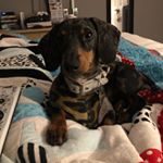 Profile Picture of Haley Bowles (@haleymarie0519) on Instagram