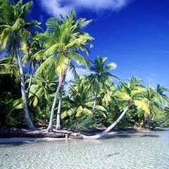 Profile Picture of isabelledumont8 (@isabelledumont8) on Tiktok