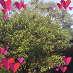 Profile Picture of Darren Udan (@darren.udan.2024) on Facebook