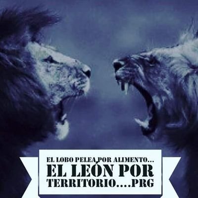 Profile Picture of Guillermo Fabian (@Guiller11821312) on Twitter