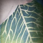 Profile Picture of Richard Foting (@richard.foting) on Facebook