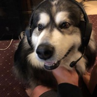 Profile Picture of Jake Sharp (@jake-sharp-10) on Quora